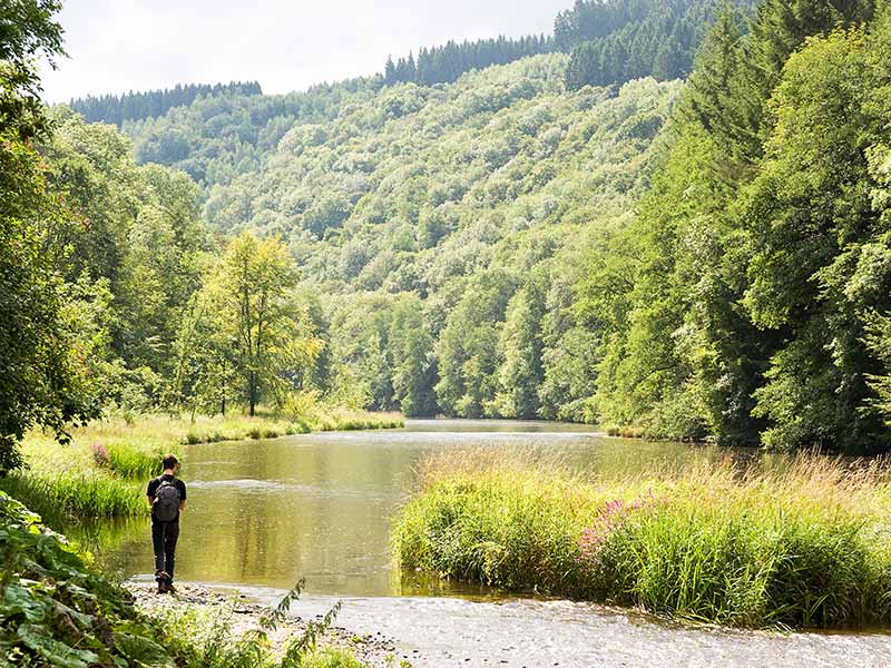 Les paisibles et magnifiques paysages des Ardennes